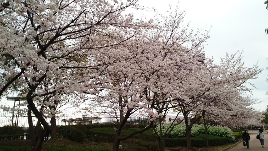 Abiko Guest House Matsubara Exterior photo